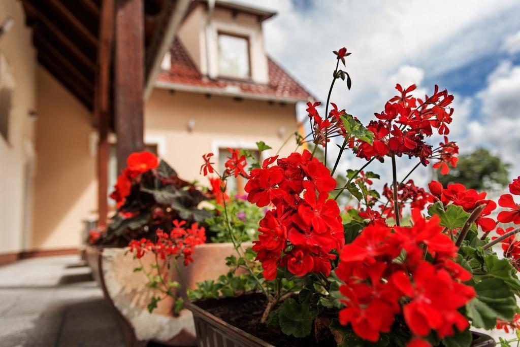 Vera Hotel Sulechów Buitenkant foto